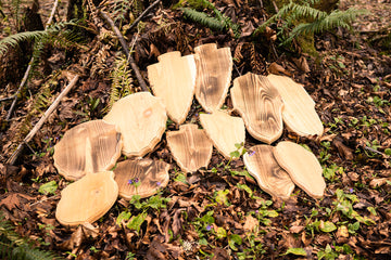 Western Red Cedar Rough-Cut Plaques - Comstock & Co