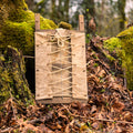 Comstock & Co. Display Pack Board - Comstock & Co