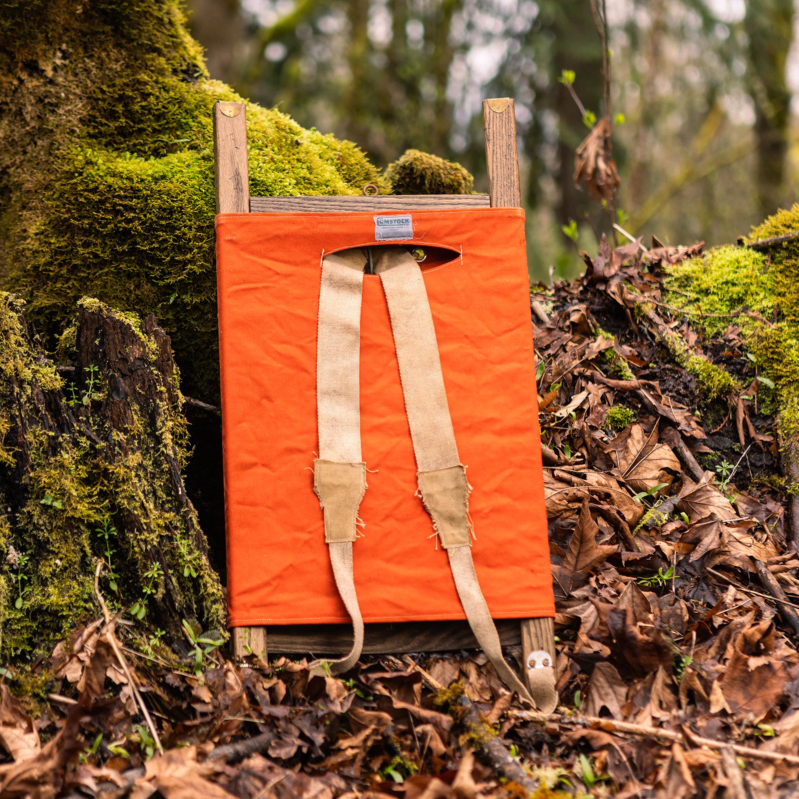 Comstock & Co. Display Pack Board - Comstock & Co