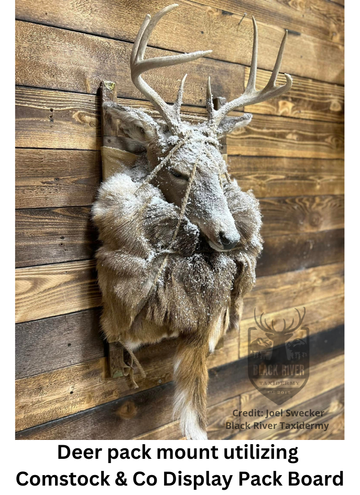 Deer pack mount on Comstock and Company pack board. Taxidermy work done by BlackRiver Taxidermy.